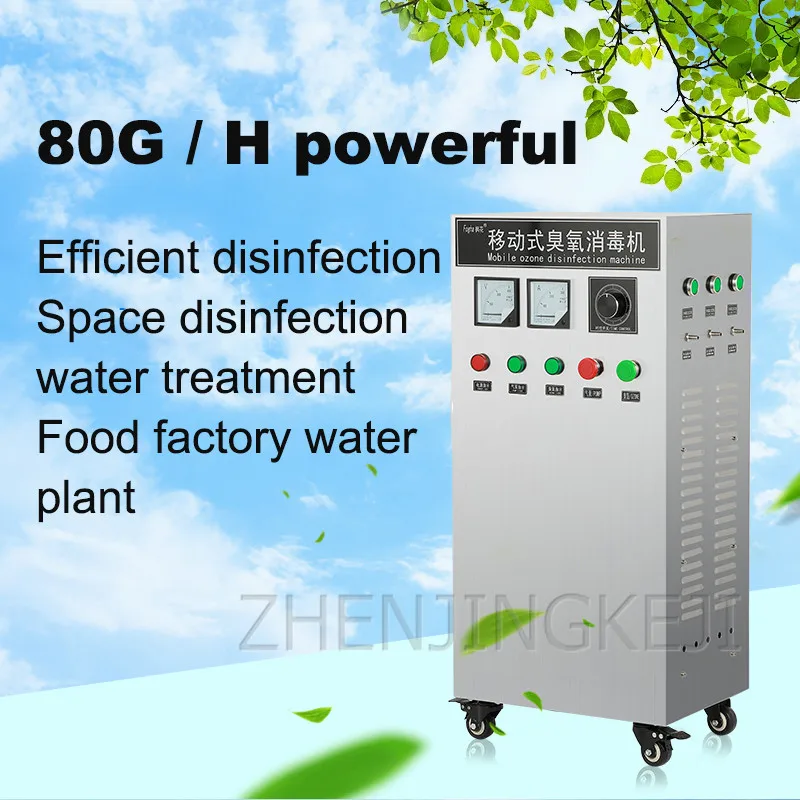 

220V 30g Ozone Generator Air Ozonizer Stainless Steel Disinfector Workshop Farm In Addition To Formaldehyde Sterilization Tools