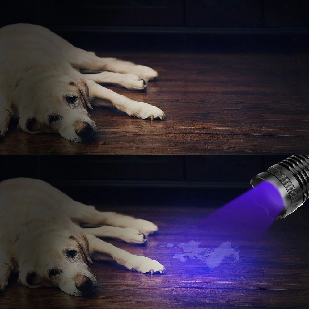

7000LM 2 in 1 UV LED Flashlight 395nm Ultraviolet Urine Detector Purple/White Light UV Torch for Carpet Pet Urine Catch Scorpion