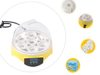 7 eggs incubator 110v220v digital clear incubator automatic er temperature control duck bird egg incubator machine