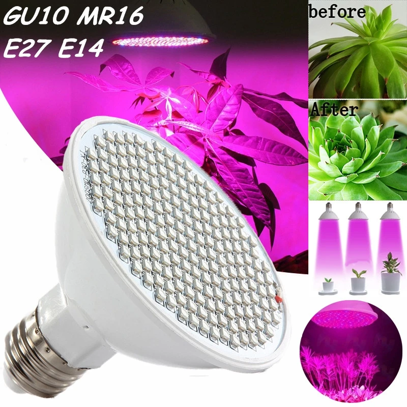 

Phyto Led B22 Hydroponic Growth Light Full Spectrum Led E27 Lamp for Indoor Hydroponics Room Cultivo Vegetable Flower Greenhouse