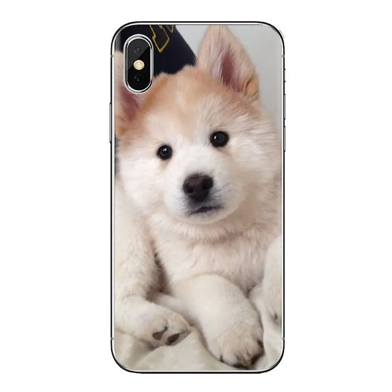 Прозрачный мягкий чехол чау-чау Собака Щенок постер животного для huawei Коврики Honor