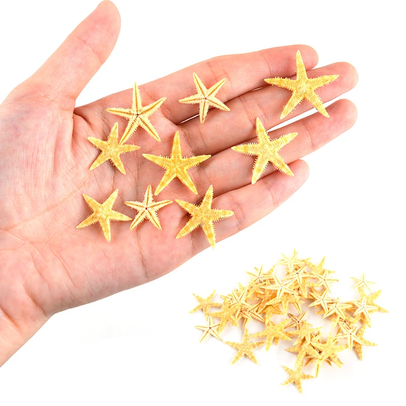 Ракушки ручной работы чистые натуральные ракушки морские звезды материал для