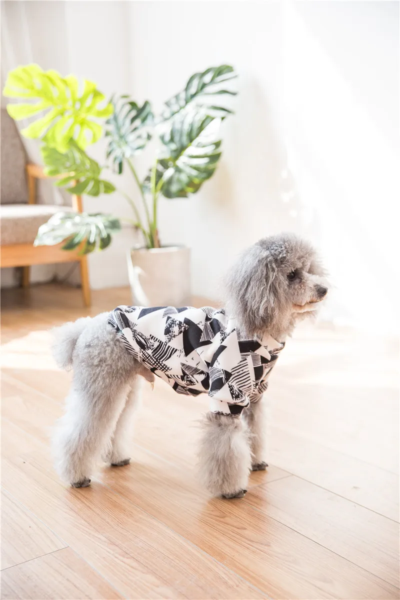 Hipidog/Новинка; Лидер продаж; модные толстовки с капюшоном для собак; одежда для щенков; сезон осень-зима;
