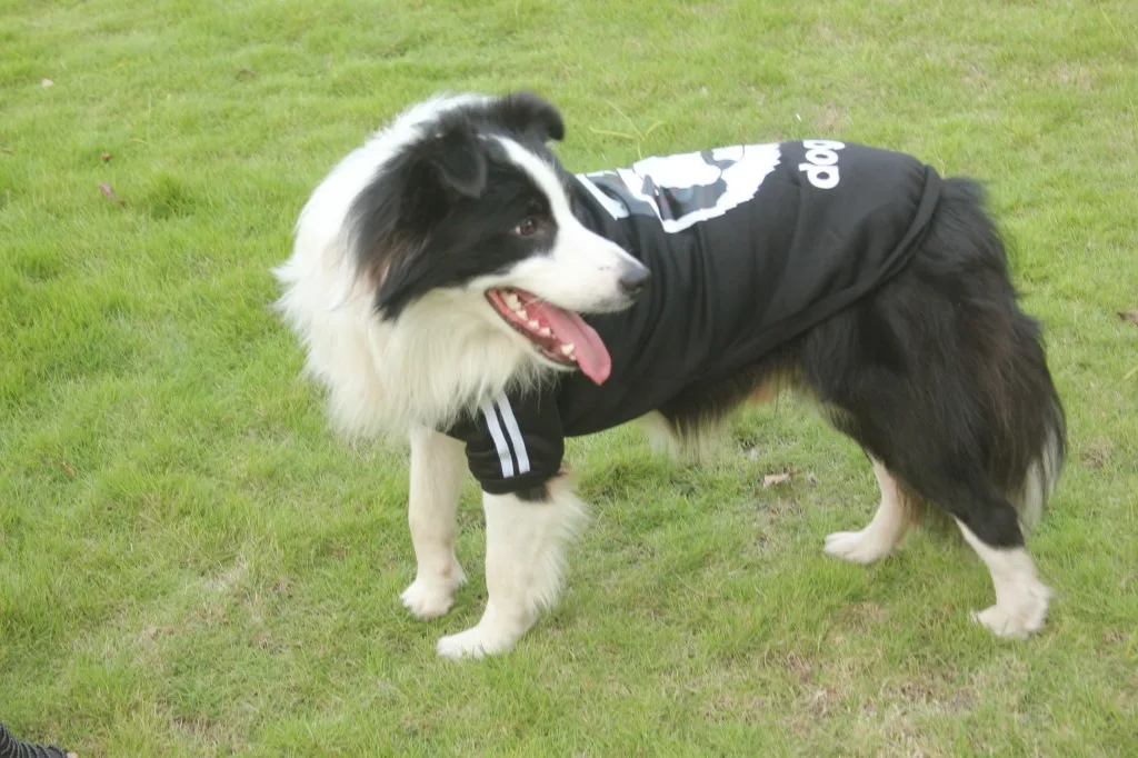 3XL 9XL одежда для домашних животных оптовая продажа золотой ретривер больших собак