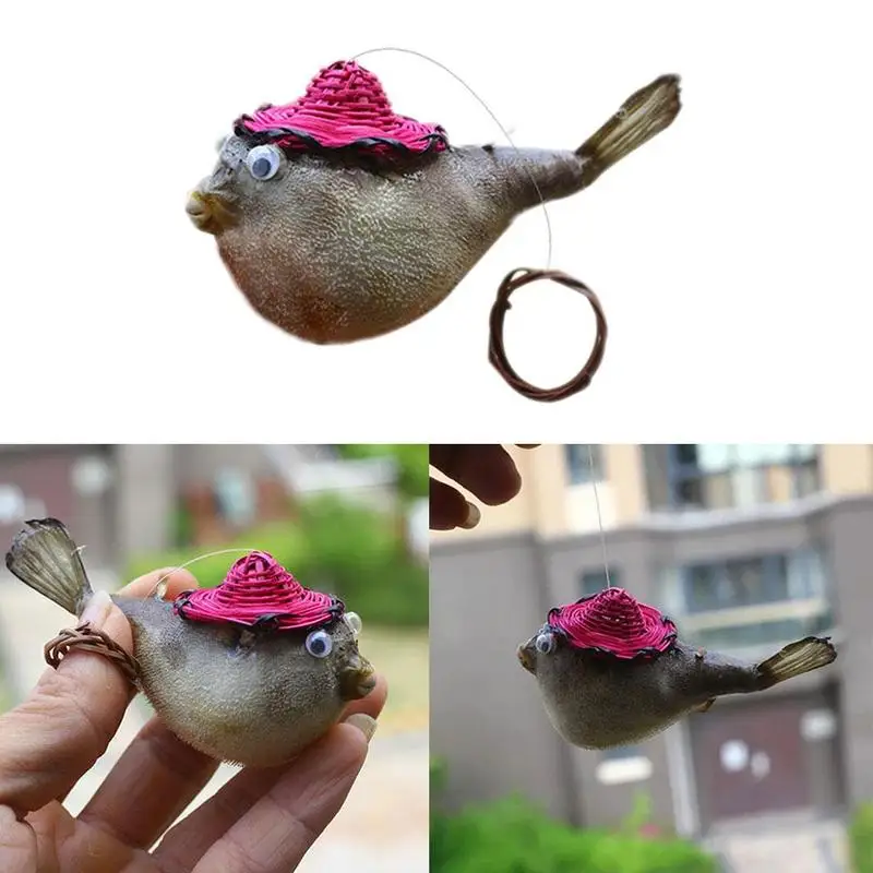 

Puffer fish, blowfish, spurfish specimen, with bamboo fish skin cap, life marine woven S3Z1