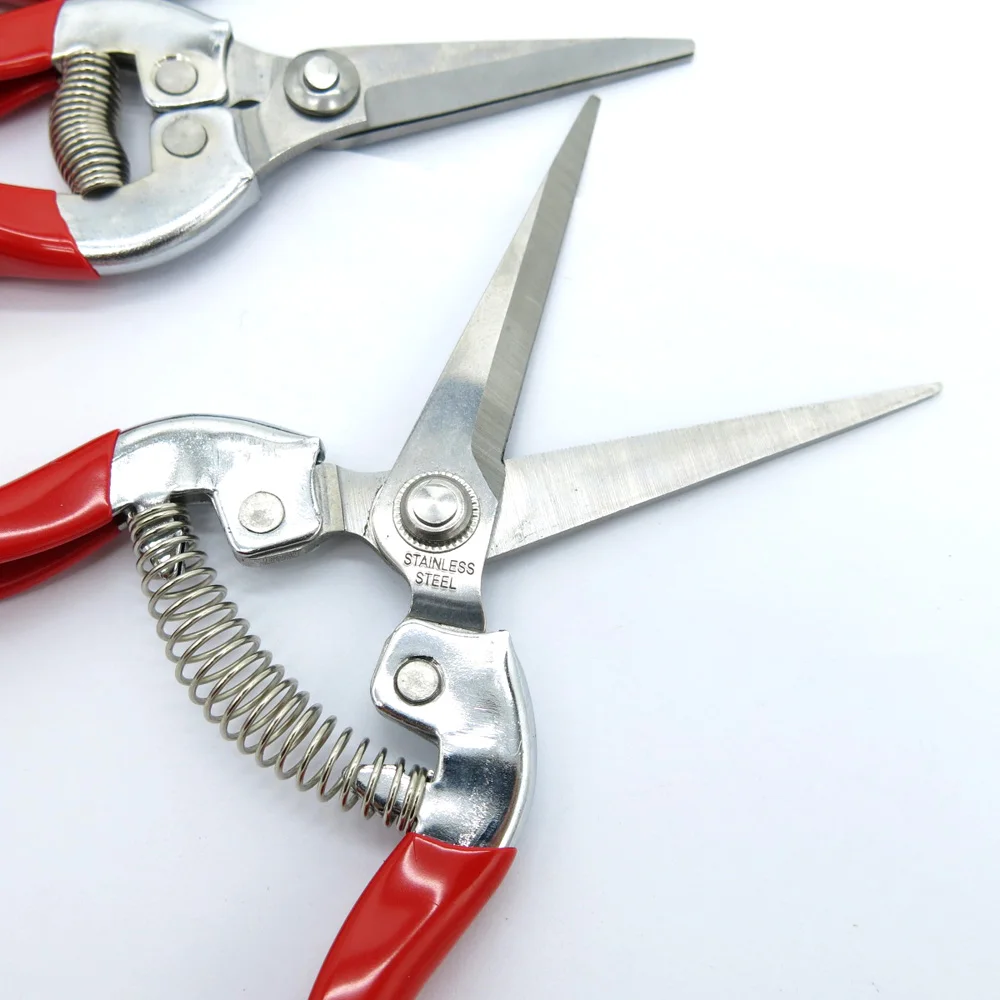 

pruning shears fruit tree horticultural greening pruning garden forceps stainless steel scissors cutter flower branch tools