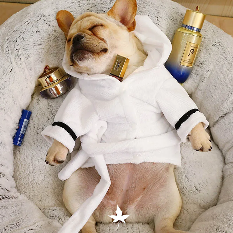 Модная одежда для домашних животных полных собак французского бульдога костюм