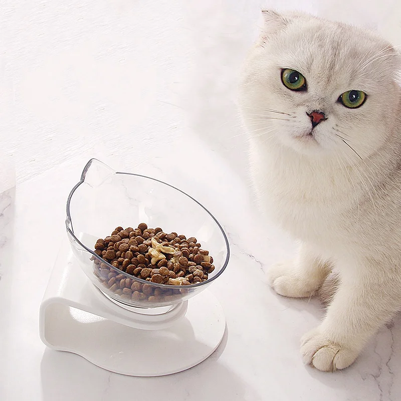 

Pet Tilted Feeding Bowl Food Bowl With Neck Pain Cat Dog Raised Feeder Elevated Stand Bowls For Dogs And Cats