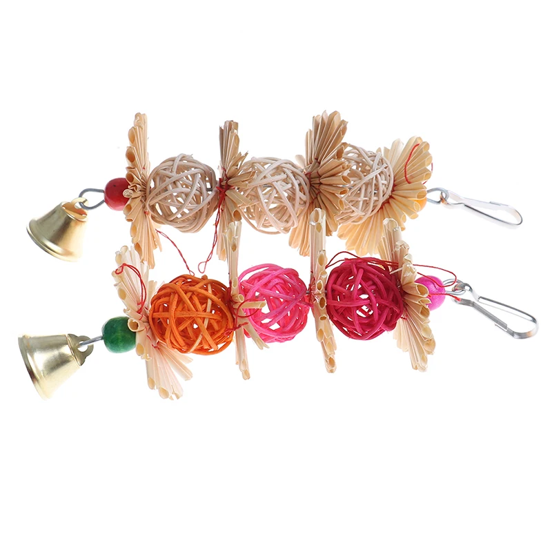 Красочные попугай жевать пряди кусать зубы Griiding и круглыми бубенчиками