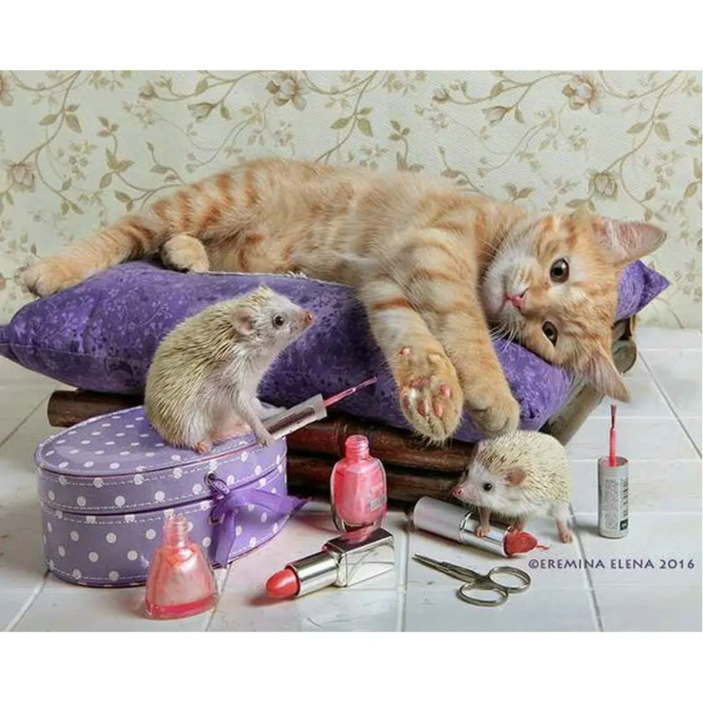 Новое поступление алмазная вышивка сделай сам полный Кот ежик искусство