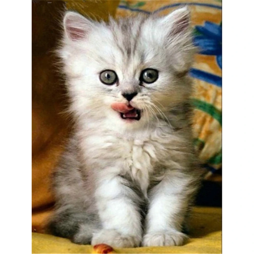 С изображением животных котов ткань с цветочным принтом 11CT Набор для вышивания