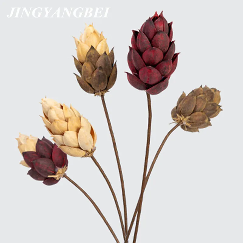 Sycamore Натуральные сушеные цветы ручной работы украшение для дома гостиной