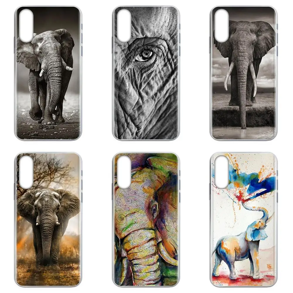 Iron protein plus. Капа 2-х челюстная латекс f102. Капа лайф. Фитоген бад. Капа лайф.