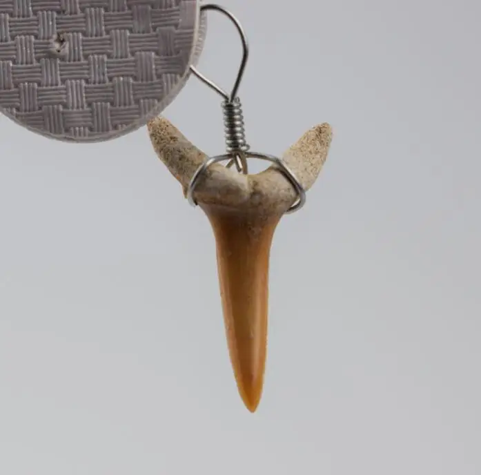 Горячая Распродажа A + кулон с натуральным акульим зубом энергетический apotropaic 1 г-3