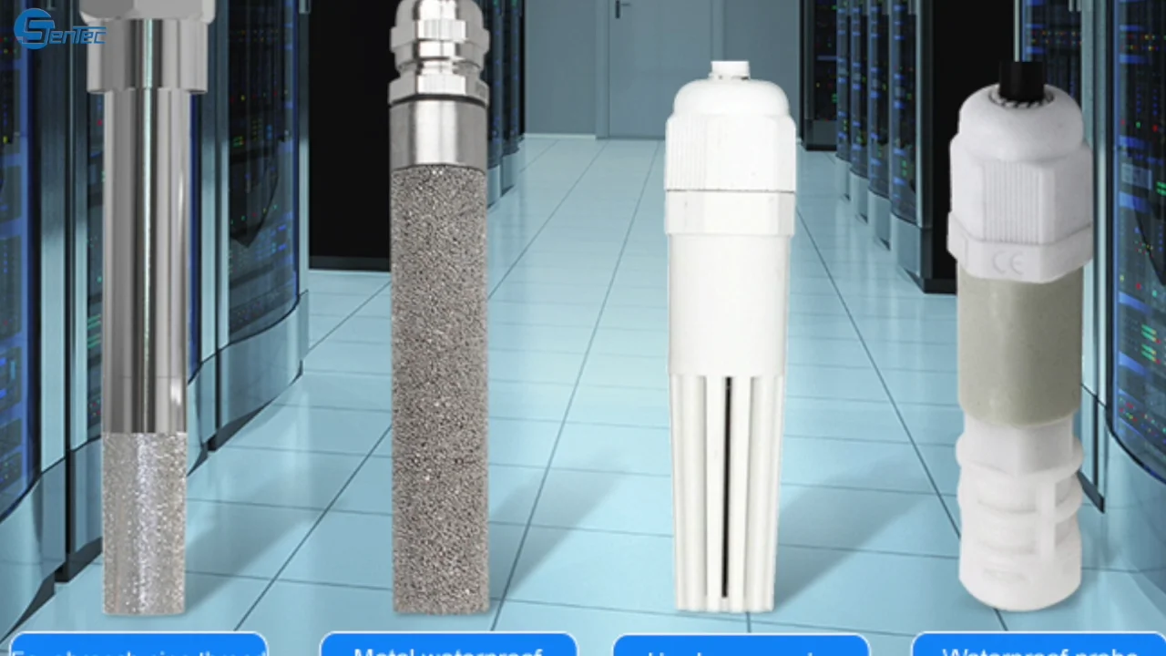 

SEM110 display temperature and humidity sensor