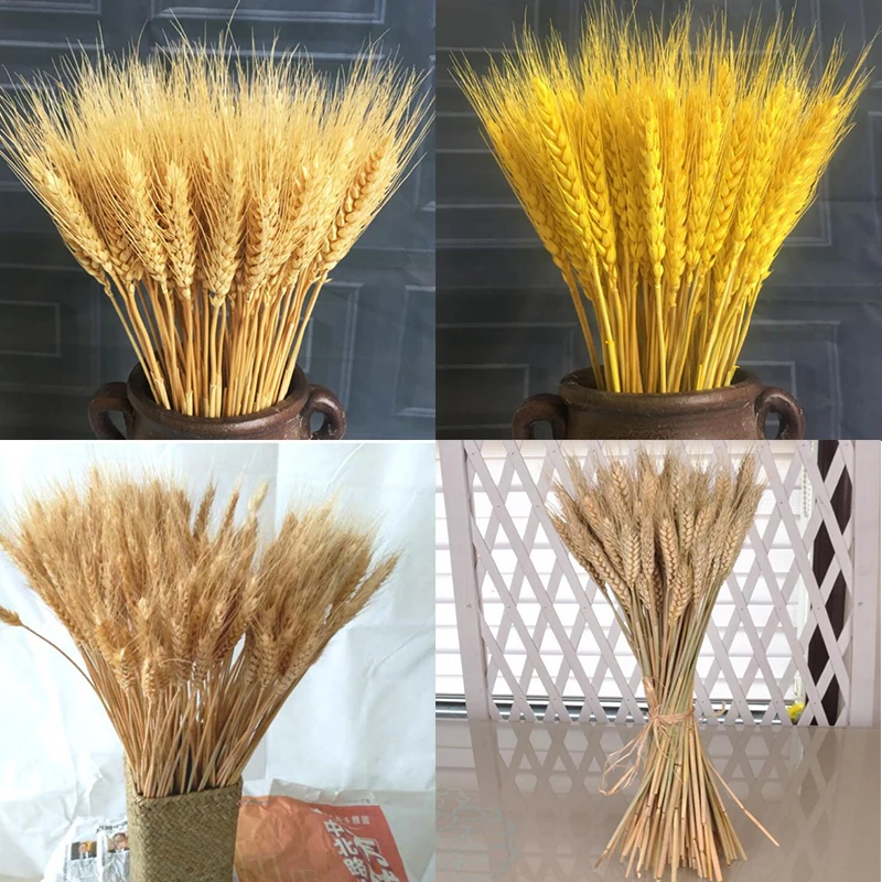 50 шт./лот реальные пшеницы цветок уха натуральные сухие цветы для Свадебная