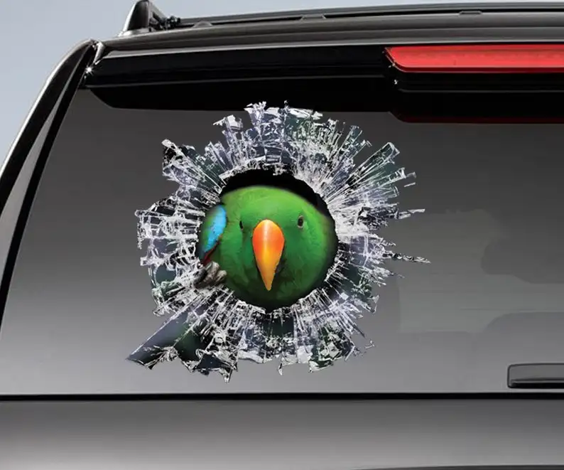 

2021 eclectus roratus window sticker, car sticker, parrot car decal, funny sticker, green eclectus