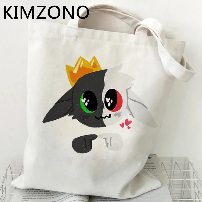 

Dream Smp Ranboo shopping bag canvas bolso tote shopper bag jute woven reusable cloth grab