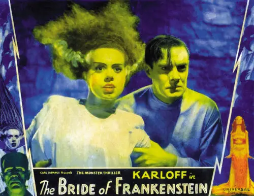 

Невеста Франкенштейна (1935) Борис Карлофф из фильма «ужасы», Шелковый плакат с принтом 24x36 дюймов