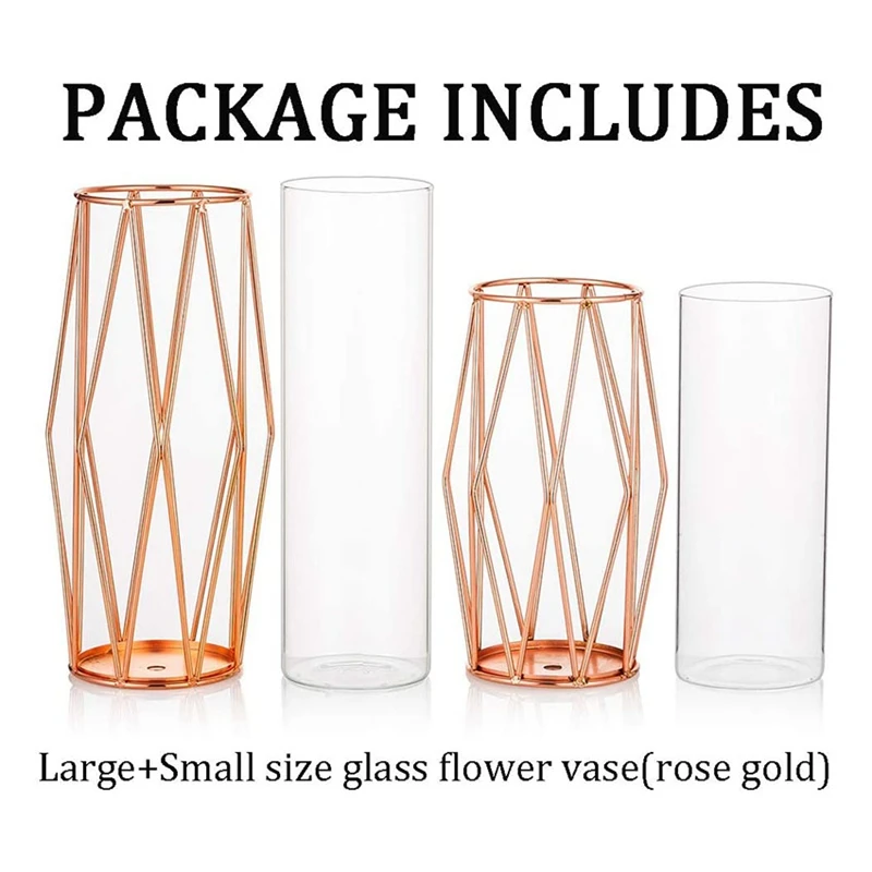 

Clear Glass Vases with Iron Frame,Flower Vase,Plants Display Holder,for Table Office Home Decor,11Inch&8.5Inch