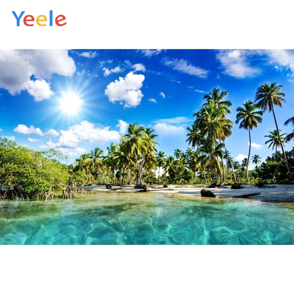Yeele летняя Приморская ладонь дерево небо естественный пейзаж Фотофон на заказ