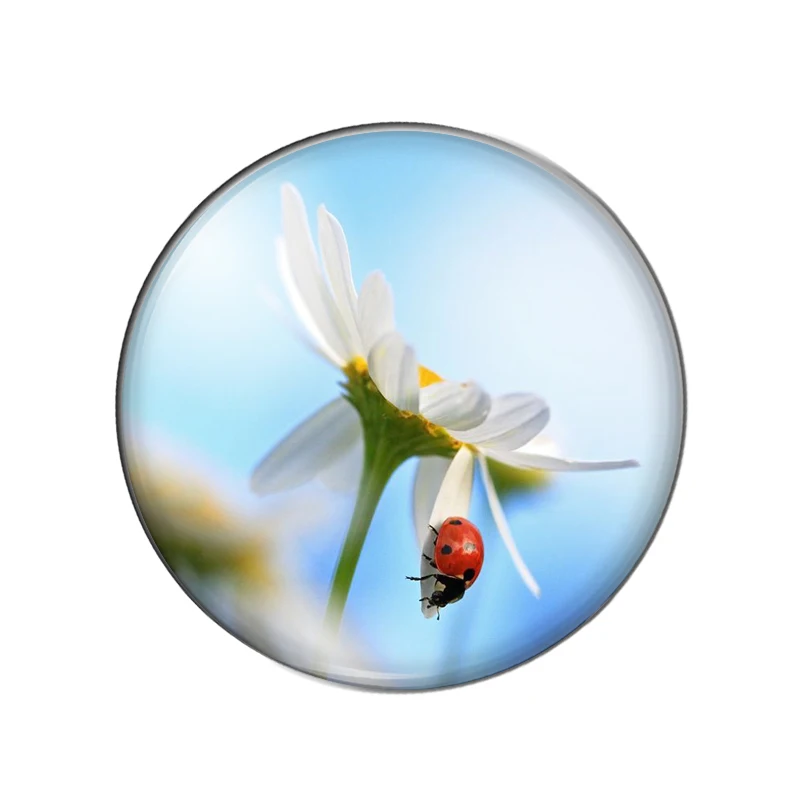 Новинка Божья коровка в виде насекомых обратно природу 10 мм/12 мм/18 мм/20 мм/25 мм