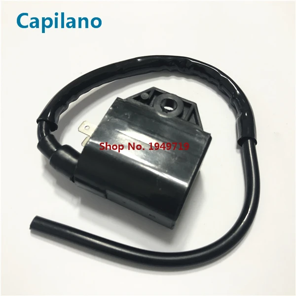 Катушка зажигания для мотоцикла скутера elecrtric AG100 V100 AG50 Suzuki 50cc 100cc AG V 50 100 запасные