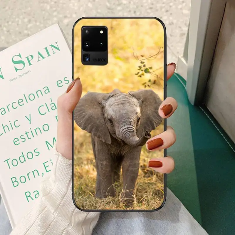 

Baby Elephant Soft Cover Phone Case For Samsung A51 71 31 40 30s 21s Galaxy S9 10 20 Plus Note9 10pro 20 20ultra