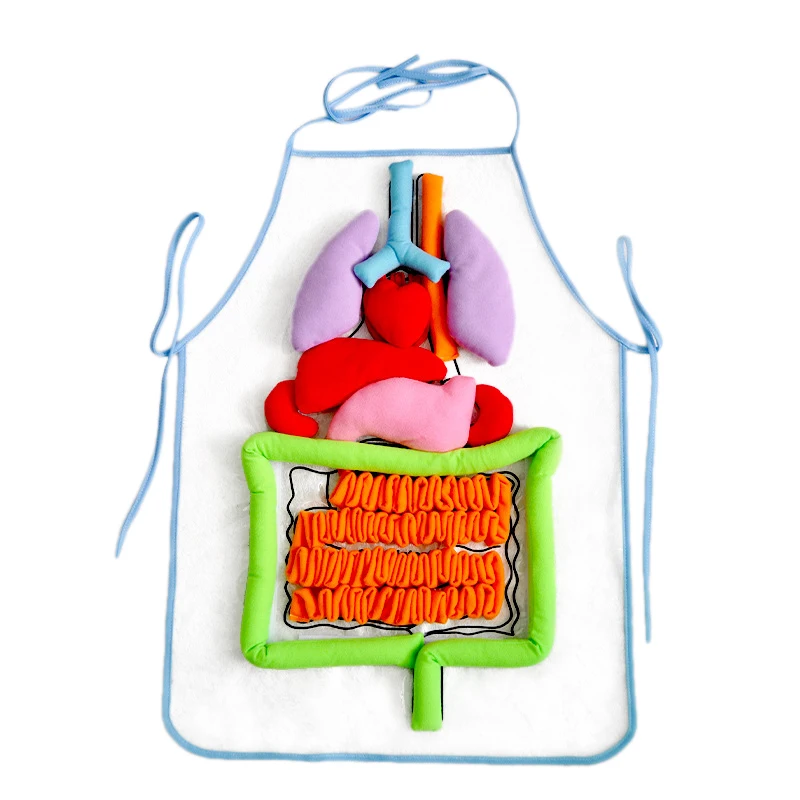 

Анатомический фартук для осведомленности о человеческих органах обучающие игрушки для детей дошкольные научные пособия для обучения ...