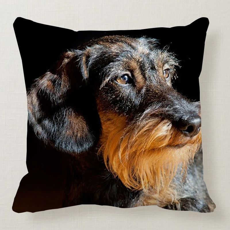 1 шт. 45*45 см милая собака подушка чехол Wirehaired подушки с таксой диван кровать автомобиль подушка чехол Спальня украшение в виде таксы Подушка бухта