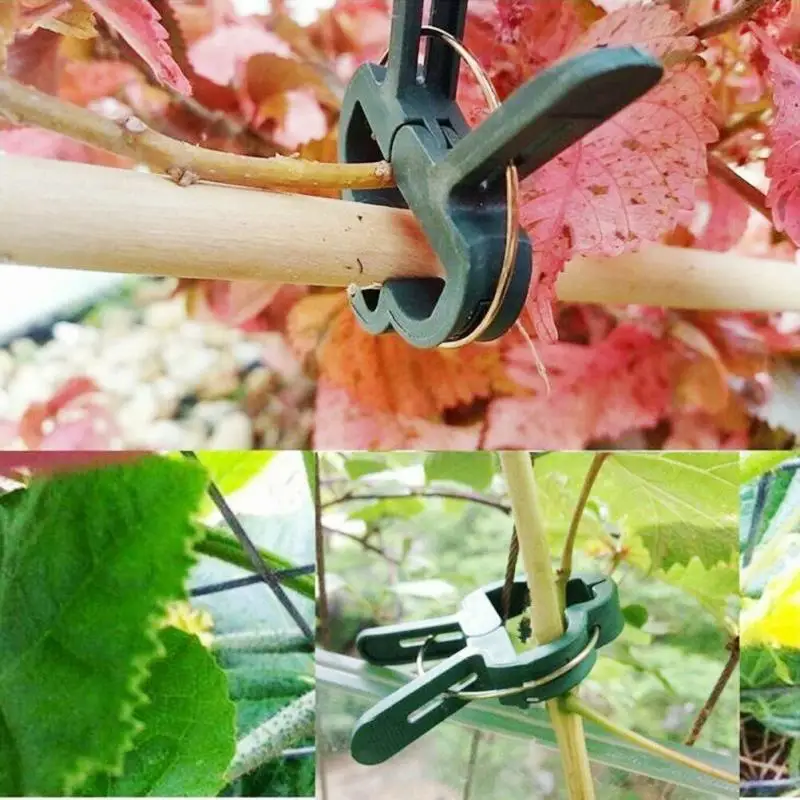 

20Pcs Reusable Plant Clips Gardening Clamp Seedling Stem Support Garden Spring Clip Tied Buckle Clamp Greenhouse Bracket