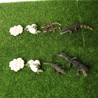 simulation wildlife amphibian animal model crocodile growth cycle figurines collection science educational nature props