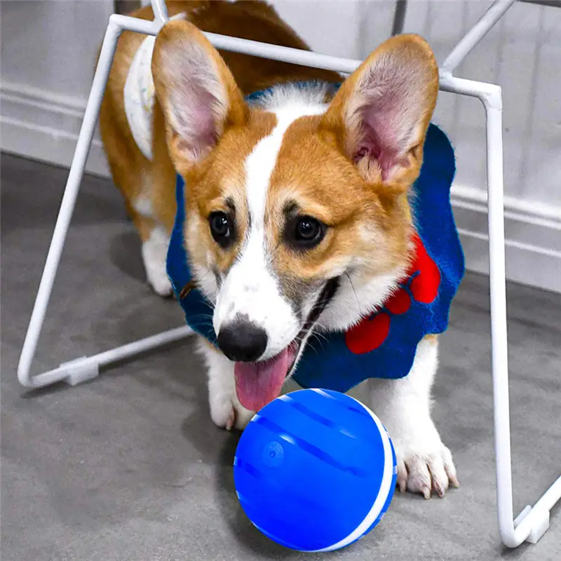 Active Jump Ball Dog Toy USB Electric Pet LED Rolling Flash Elastic Cat Automatic Roll Fun Interactive Training Toys | Дом и сад