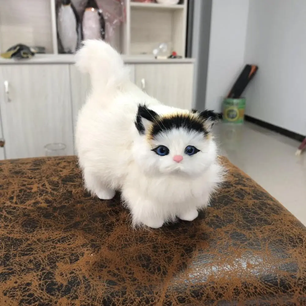 Реальной жизни игрушка с принтом белой кошечки черной головой пластиковые и меха