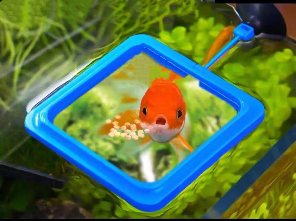 Кормушка для Рыб квадратная круглая аквариумная кольцевая кормушка плавающая