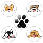 TAFREE красота милая маленькая собака следы Кабошоны Купол круглой формы Щенок Фото аксессуары для изготовления ювелирных изделий AL257