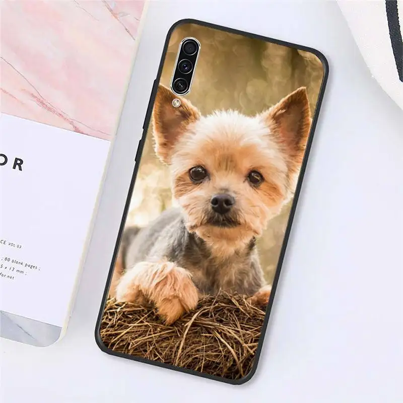 

Cute animal Yorkshire Terrier dog Phone Case For Samsung galaxy A S note 10 7 8 9 20 30 31 40 50 51 70 71 21 s ultra plus
