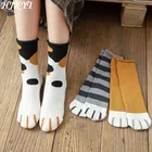 HJKYT cartoon animal warm cat paw socks fluffy cotton gifts for women street style inviernomujer giftsinviernomujerinviernomujer