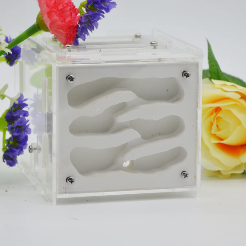 Plaster Ant Nest Acrylic Farm Ants Queen House Insect Cage Anthills Pet Granja De Hormiga Hormiguero Antfarm | Игрушки и хобби