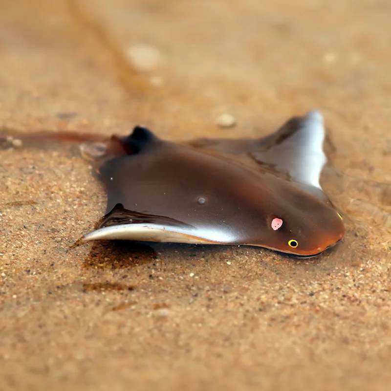 

10.5*9*0.8cm Simulated Marine Creature Animal Model New Devil Fish Manta Ray Solid Plastic Children Cognitive Toy Gift
