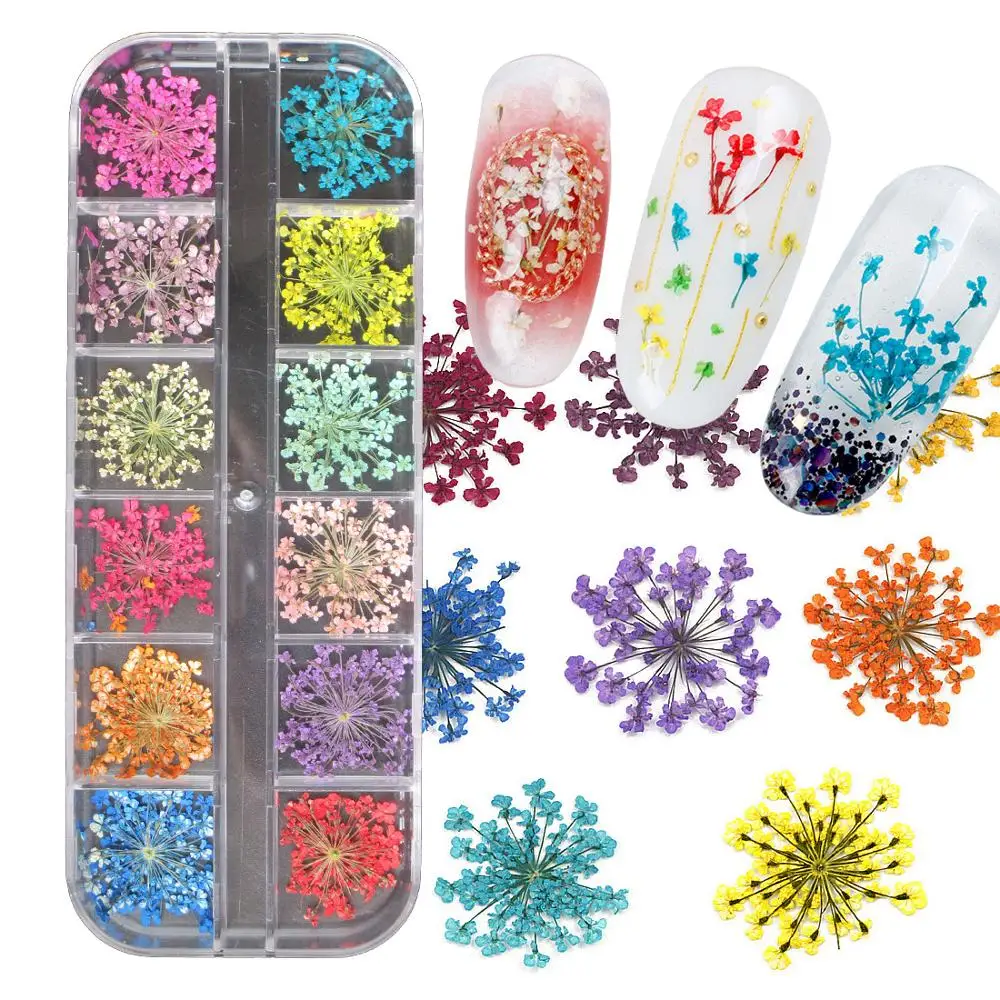 Настоящие сушеные цветы Bittb 12 цветов украшения для дизайна ногтей наклейки