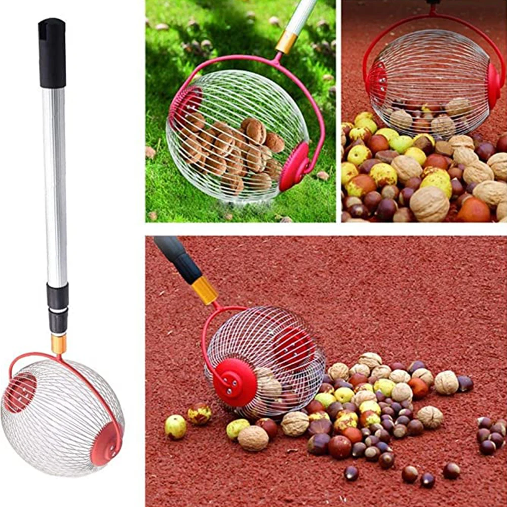 

Walnuts Chestnuts Collector Basket Roller Fruit Collector Retractable Fruit Picker Chestnut Harvester Ball Picker Orchard Tool