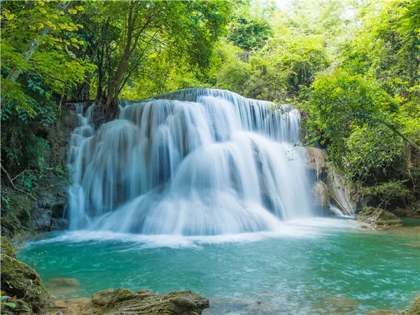 

SHENGYONGBAO Vinyl Custom Photography Backdrops Props Photo Studio Waterfall theme Background 20228-13