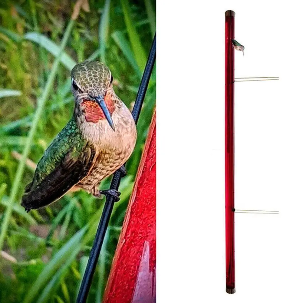 

Best anna hummingbird feeder with hole birds feeding easy to use transparent pipe