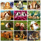 Huacan 5d алмазная живопись новые поступления свинки Вышивка крестом животное крыса мозаика мышь домашний декор