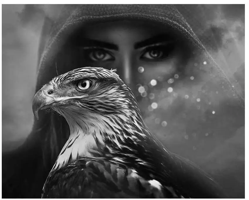 Животные алмазная живопись женщина орла полная Алмазная вышивка искусство