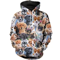 beautiful flower dog 3d print hoodie man women zipper pullover sweatshirt casual unisex jacket style b 4166