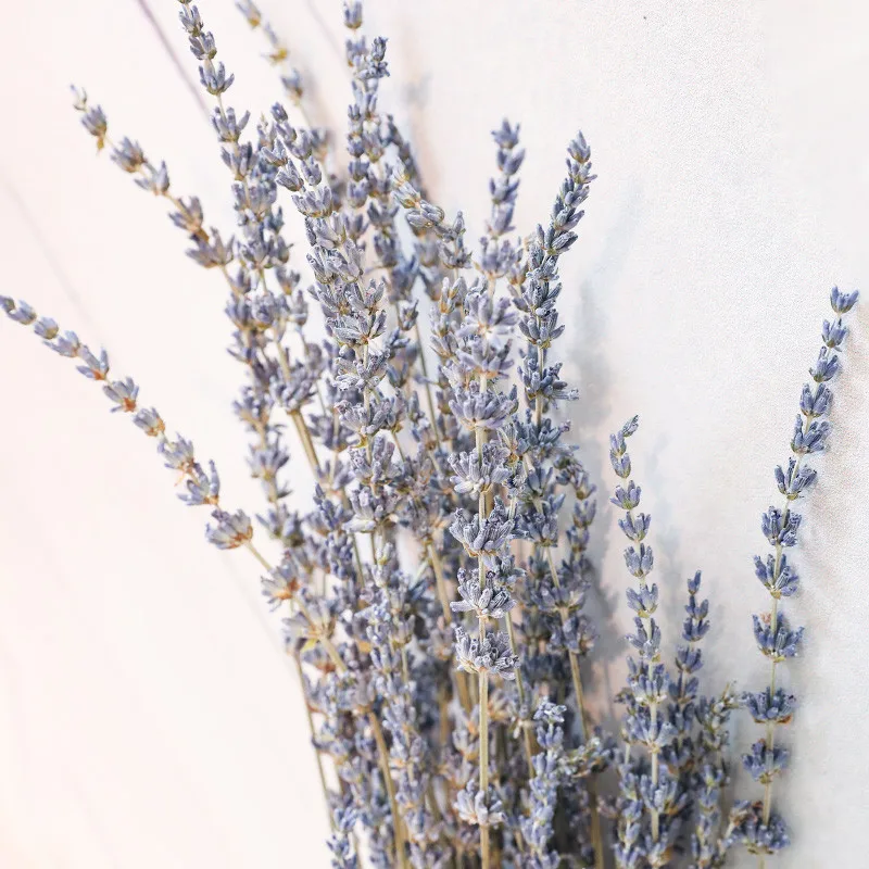 Свадебные букеты из сушеных цветов 200 г букет натуральных лавандовых без вазы |