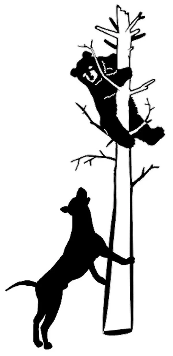 

Виниловые наклейки на окна для медведя, охоты, собаки