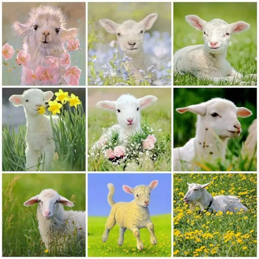 

5D DIY Diamond Painting Cross stitch Kit Diamond Mosaic Embroidery "Animal Sheep" 3D Home Room Hanging Painting Decoration Gift